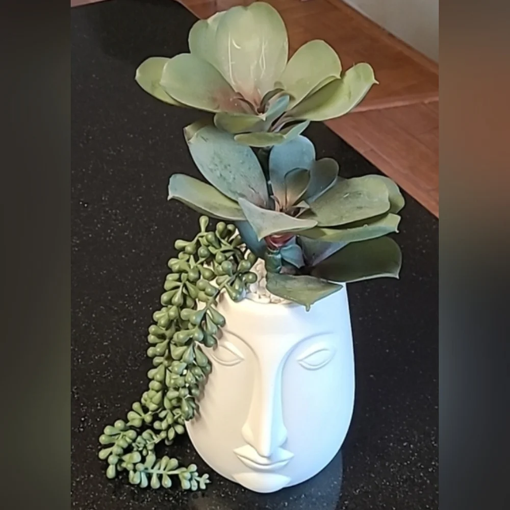 Succulent Face Pot